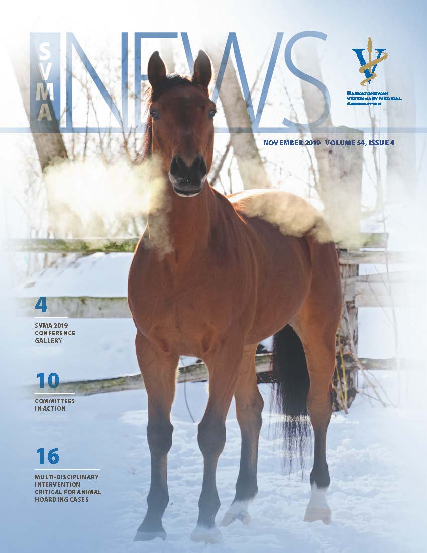 SVMA Newsletter November 2019
