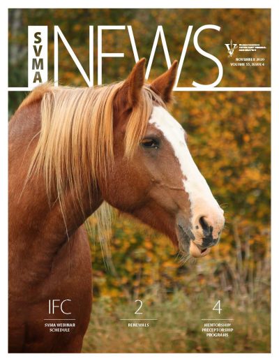 Cover SVMA_NOV2020_web